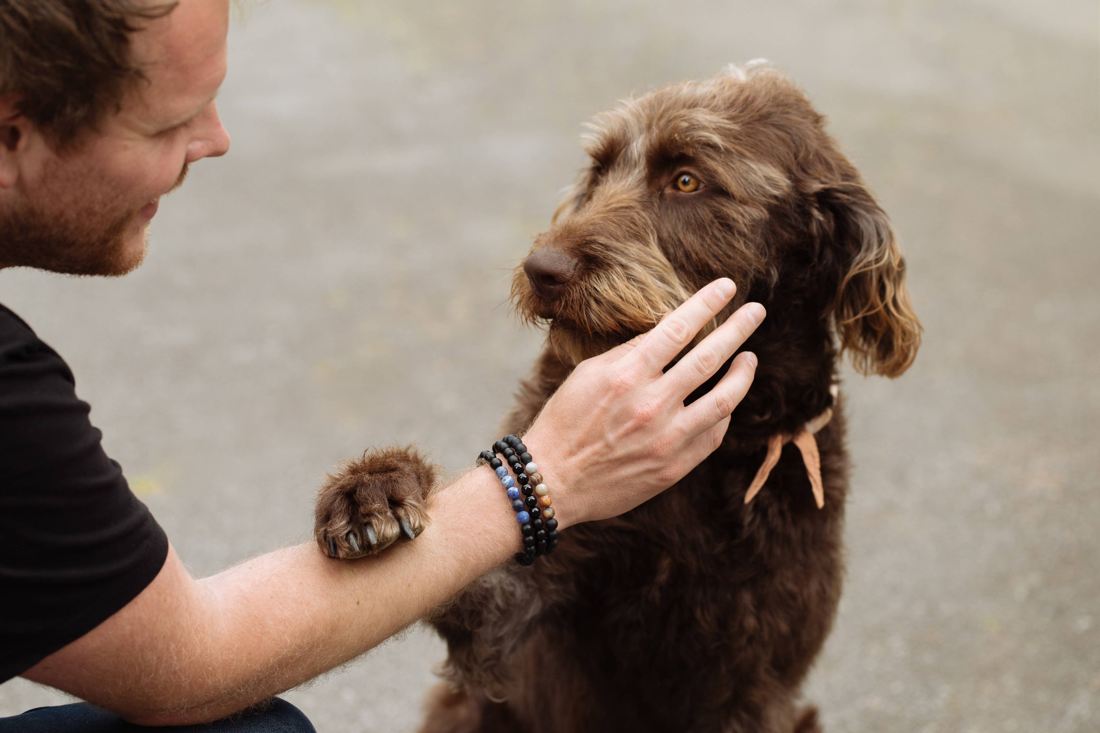 Men's Laguna Agate Bracelet for Steady - MBRLA