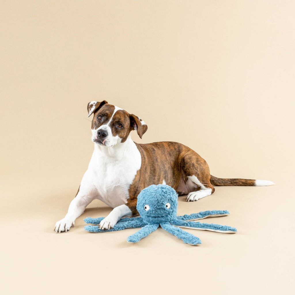EARTH FRIENDLY DOG TOY LONG TIME NO SEA