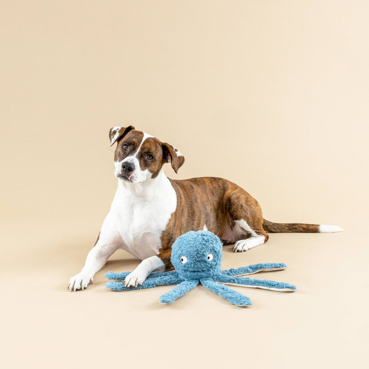 EARTH FRIENDLY DOG TOY LONG TIME NO SEA