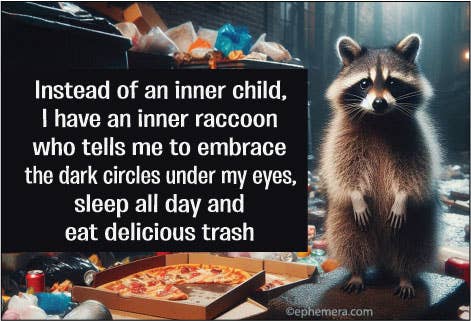 MAGNET: Instead of  an inner child, I have an inner raccoon