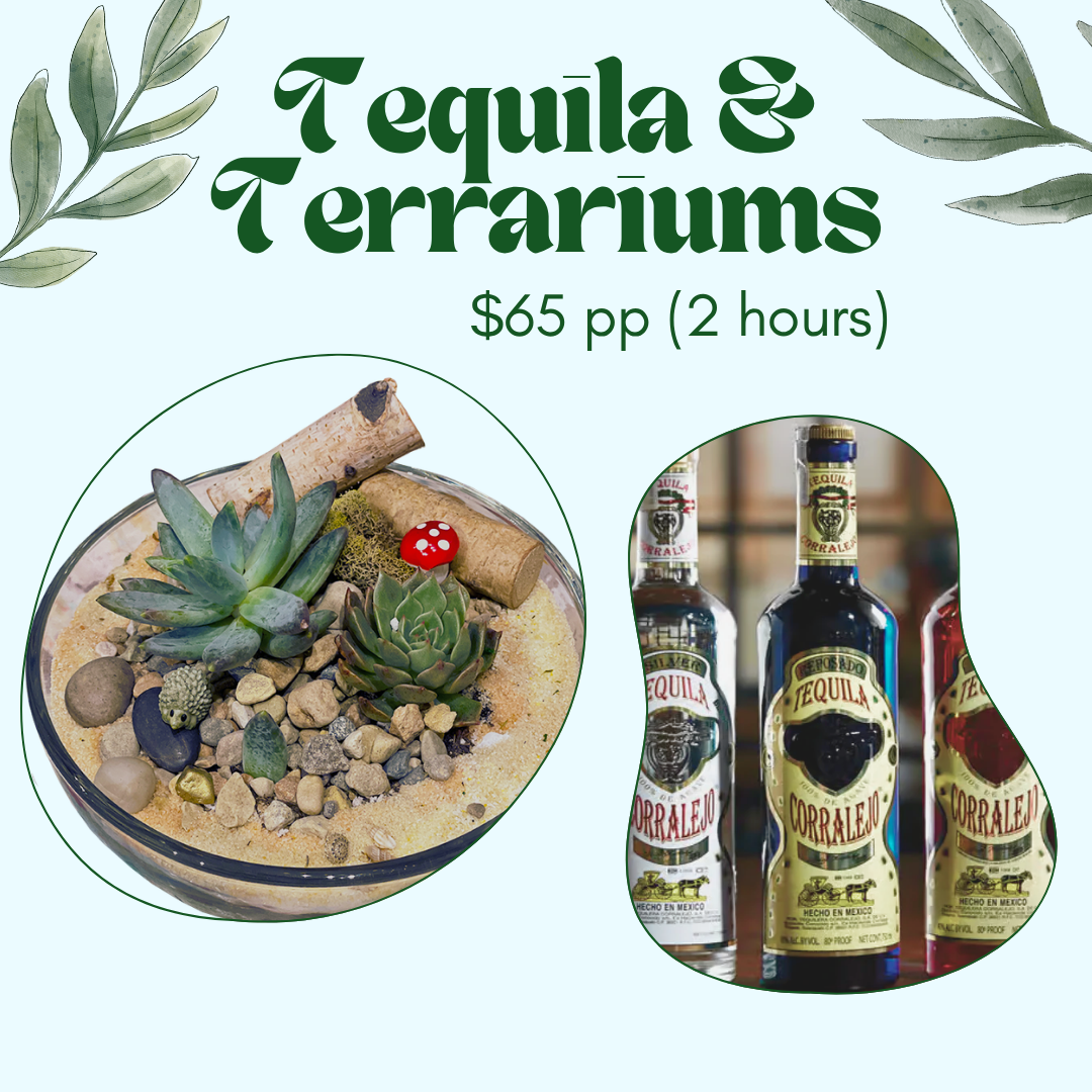 Tequila & Terrariums Workshop