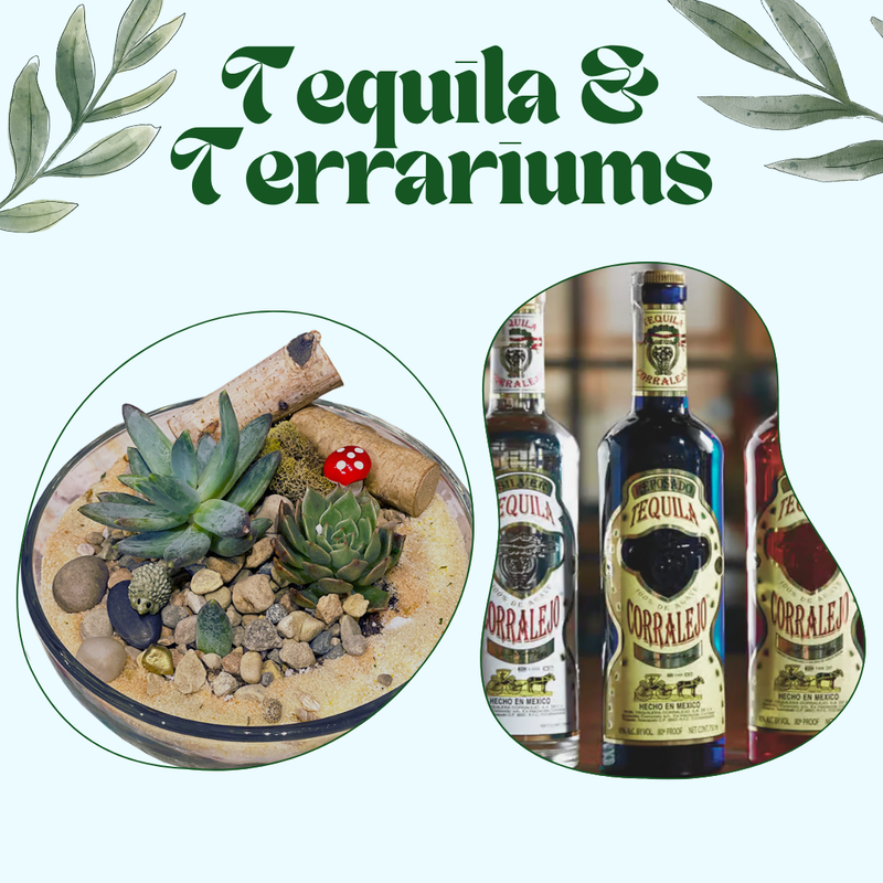 Tequila & Terrariums