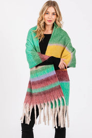 Brushed Multi Color Stripe Tassel Winter Scarf: Blue