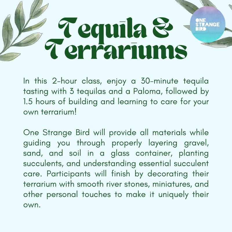Tequila & Terrariums