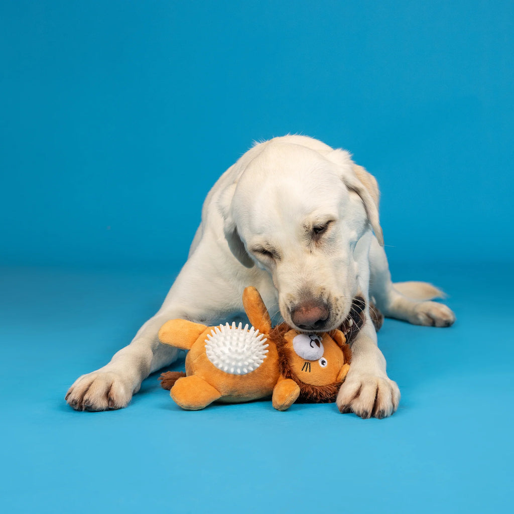 CAN'T BE TAMED PLUSH/SPIKEY BALL TOY