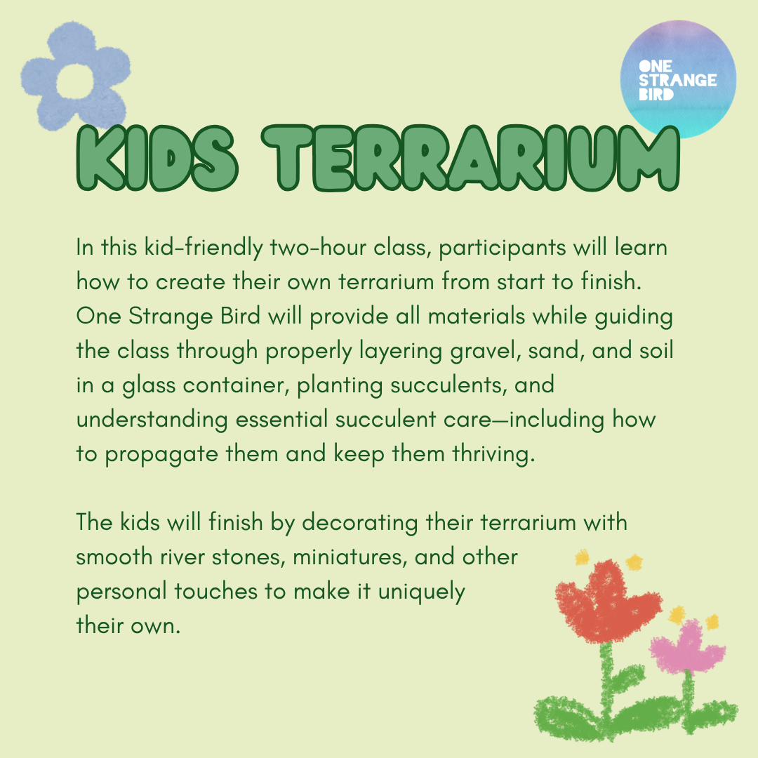 Kids Terrarium Workshop