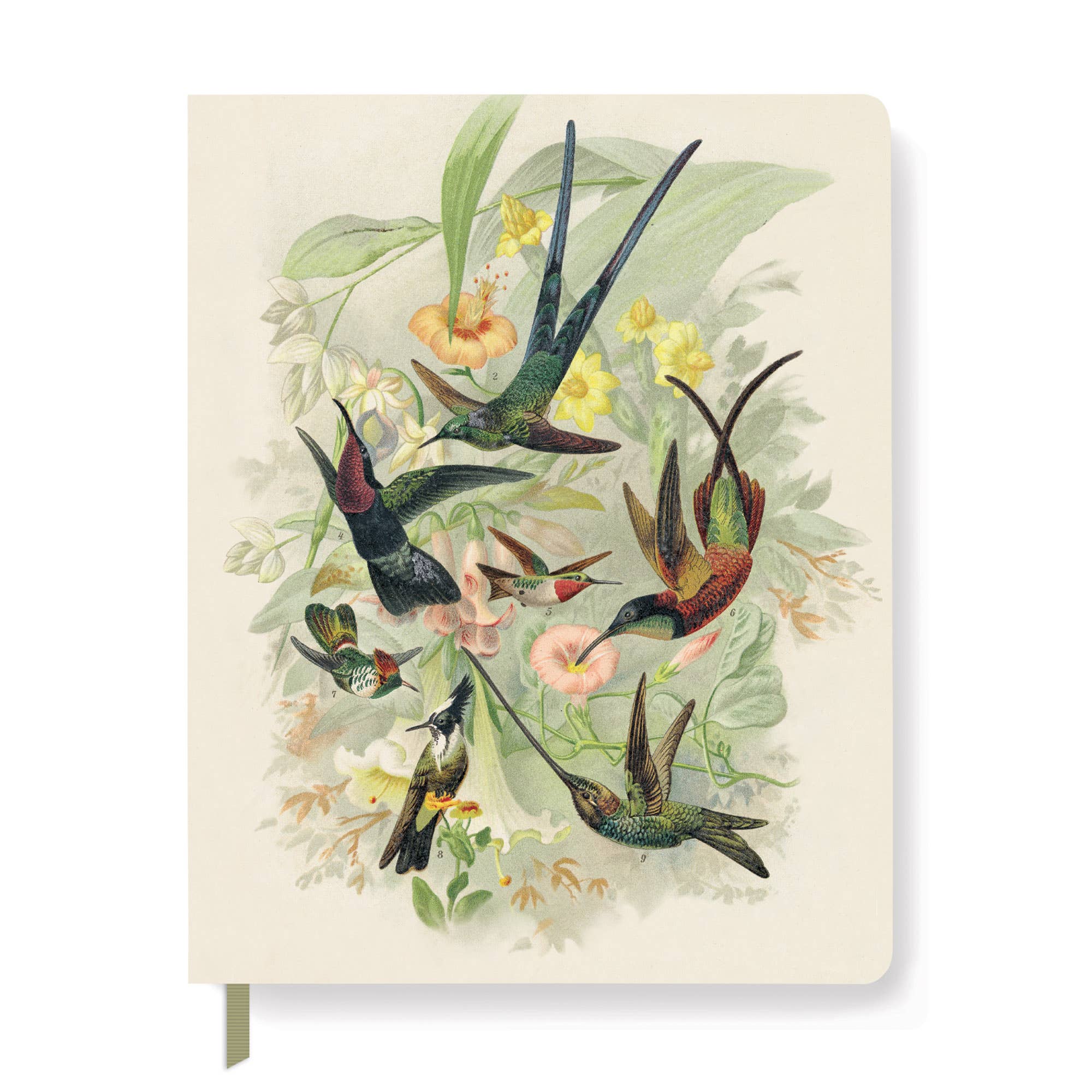Hummingbirds Large Paperback Journal