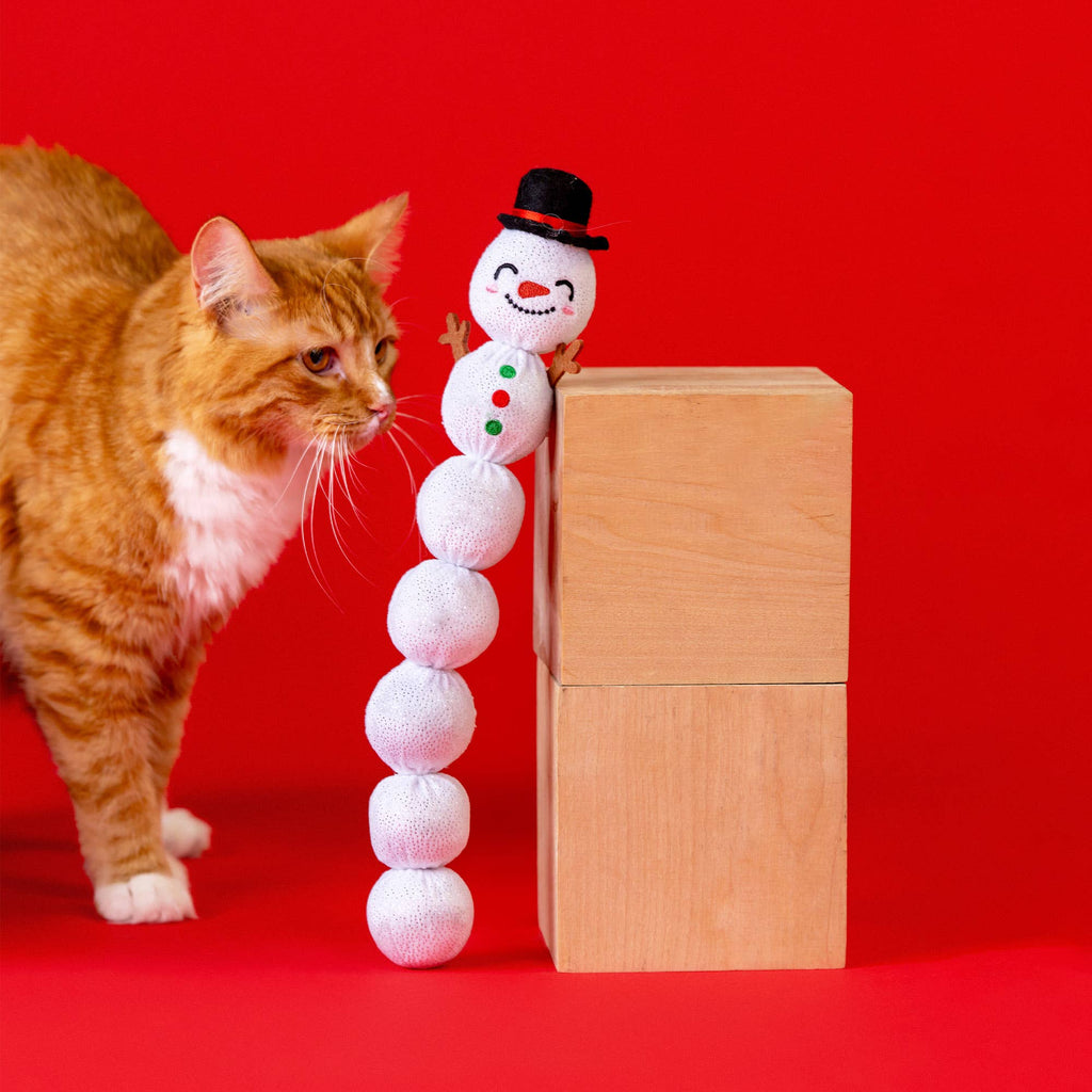 A JOLLY COOL FELLOW KICKER CAT TOY