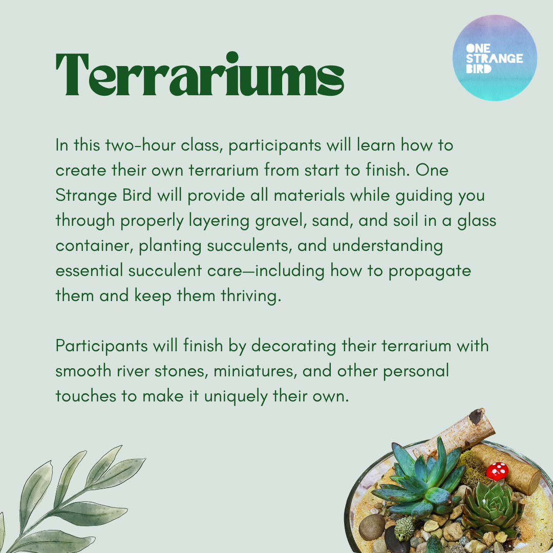 Terrarium Building Workshop