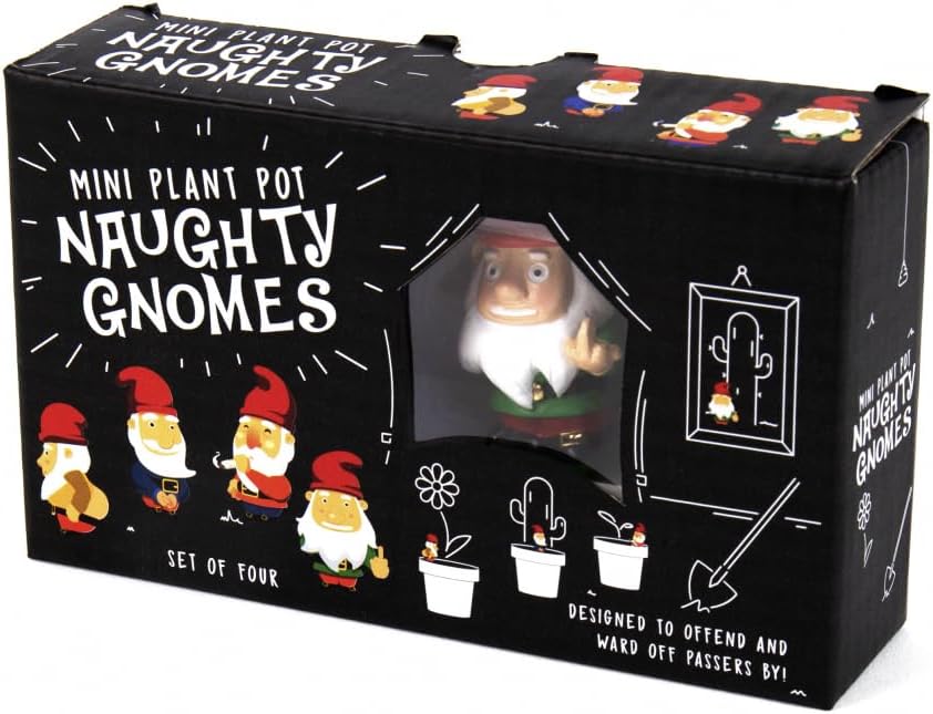 Mini Plant Pot Naughty Gnomes
