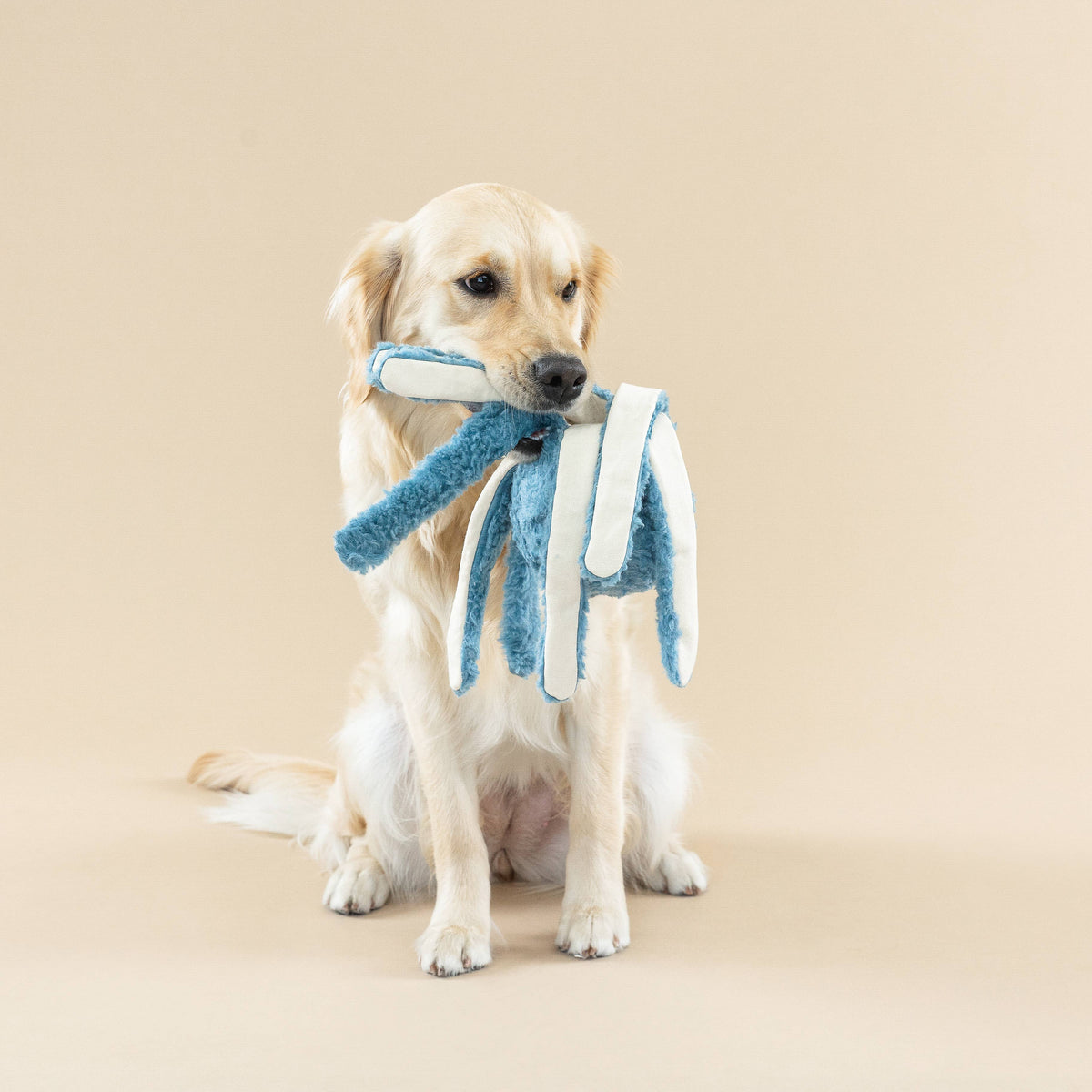 EARTH FRIENDLY DOG TOY LONG TIME NO SEA