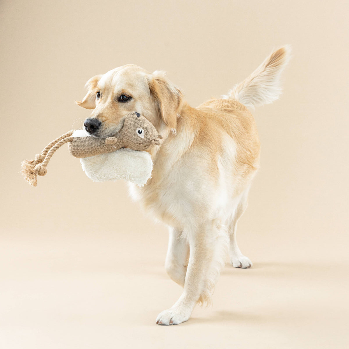 EARTH FRIENDLY DOG TOY BRING MORE NUTS!