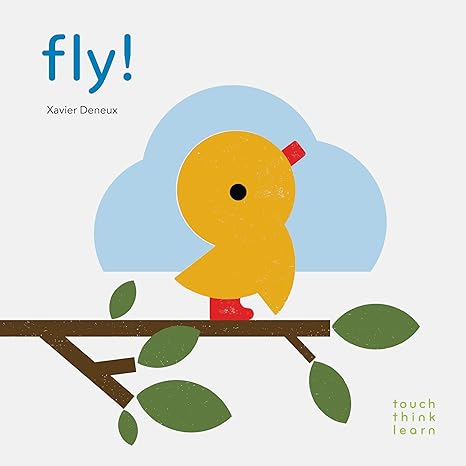 TouchThinkLearn: Fly! Board book – Touch & Feel,