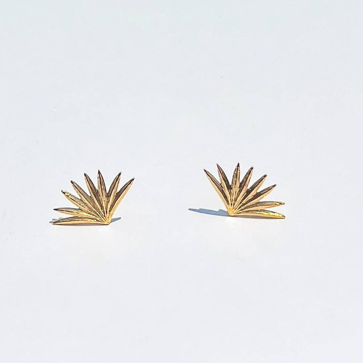 Fan Palm Studs