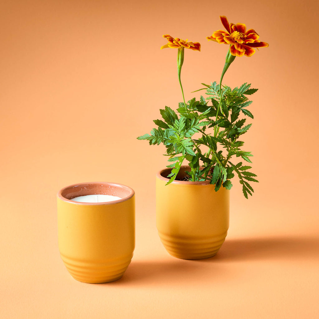 Garden Vibes Candle/Planter 2-in-1