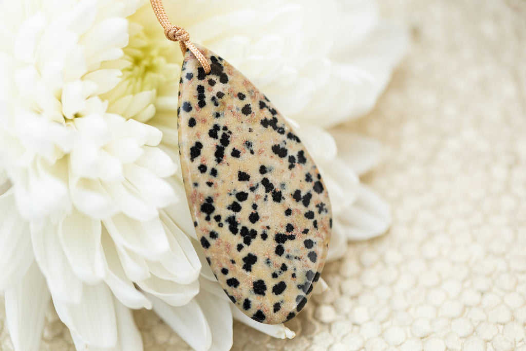 Dalmatian Jasper Touchstone Necklace for Glee - TCH12