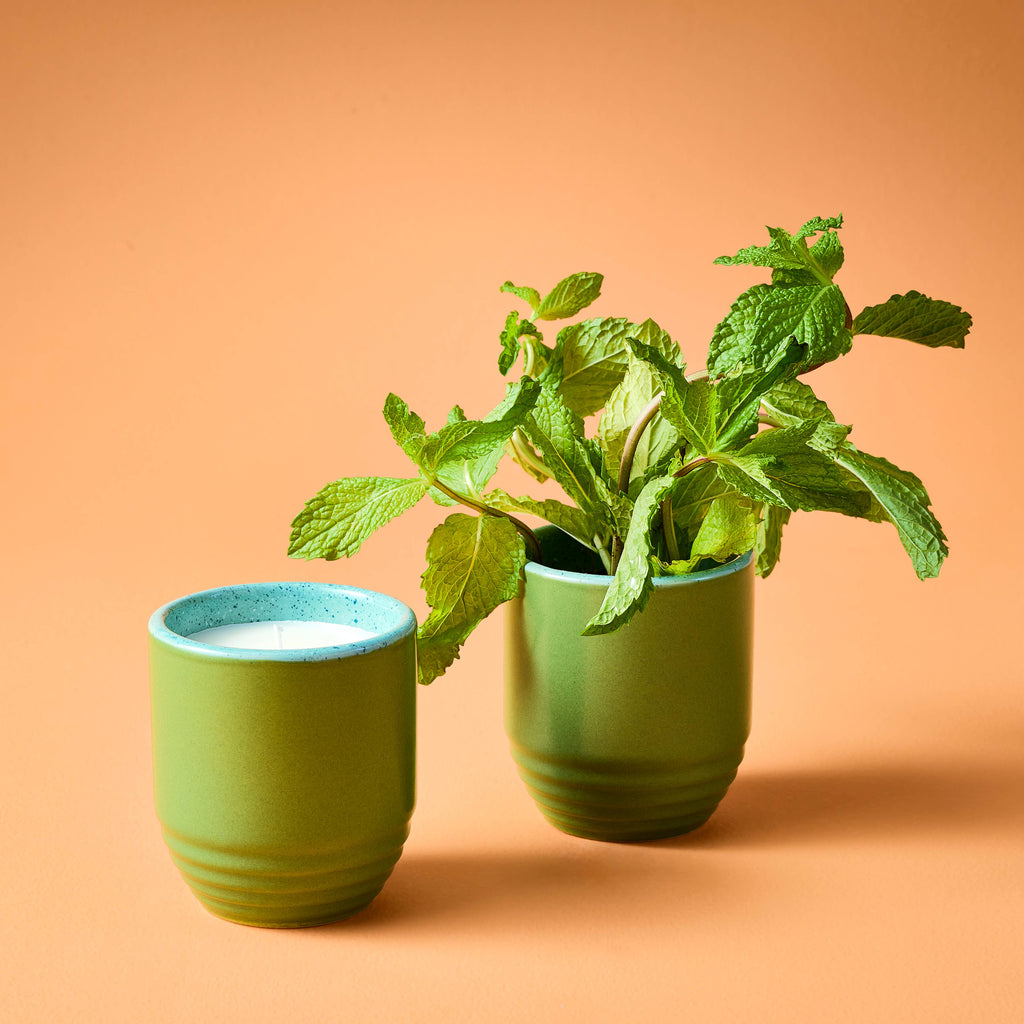 Garden Vibes Candle/Planter 2-in-1