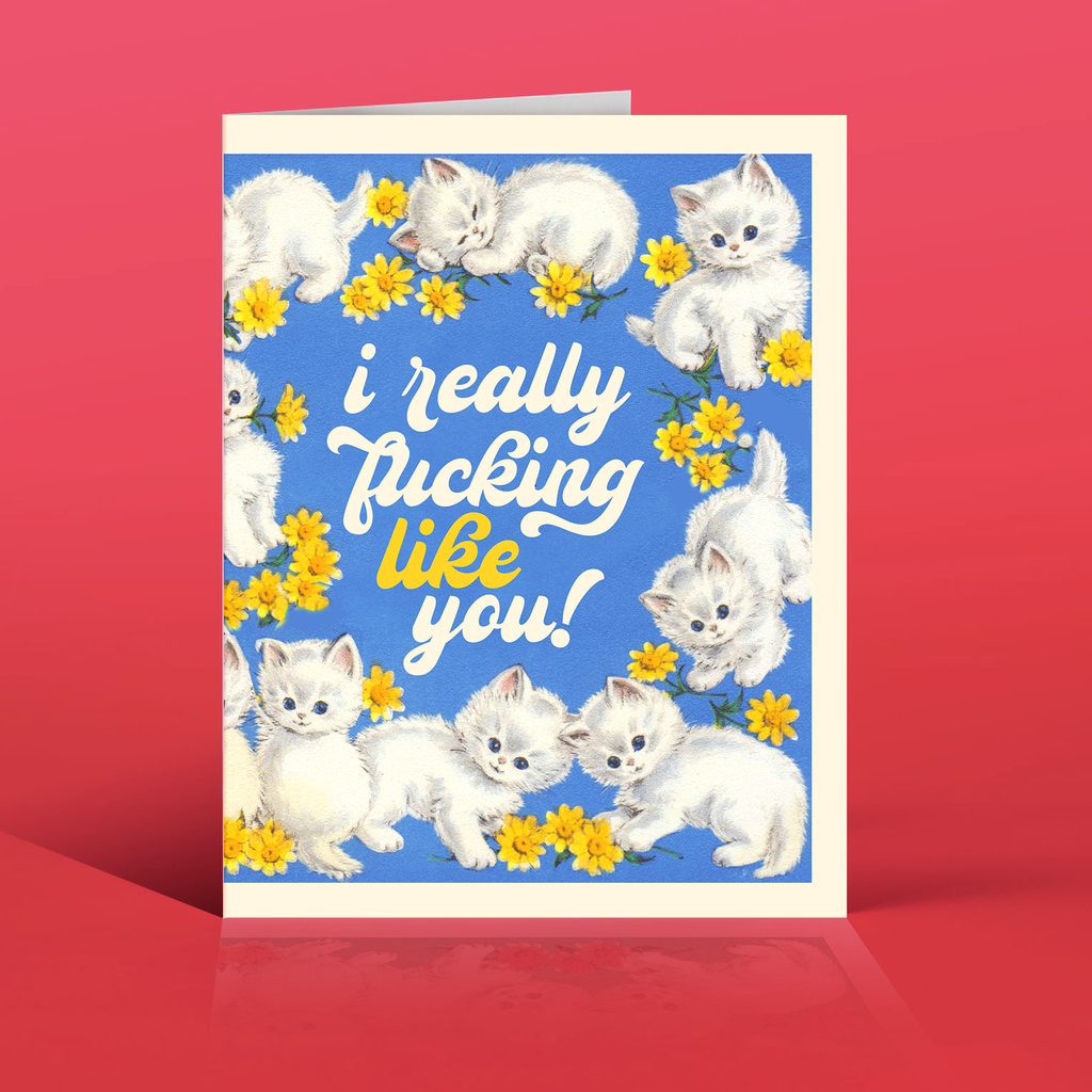 REALLY LIKE KITTENS! love card