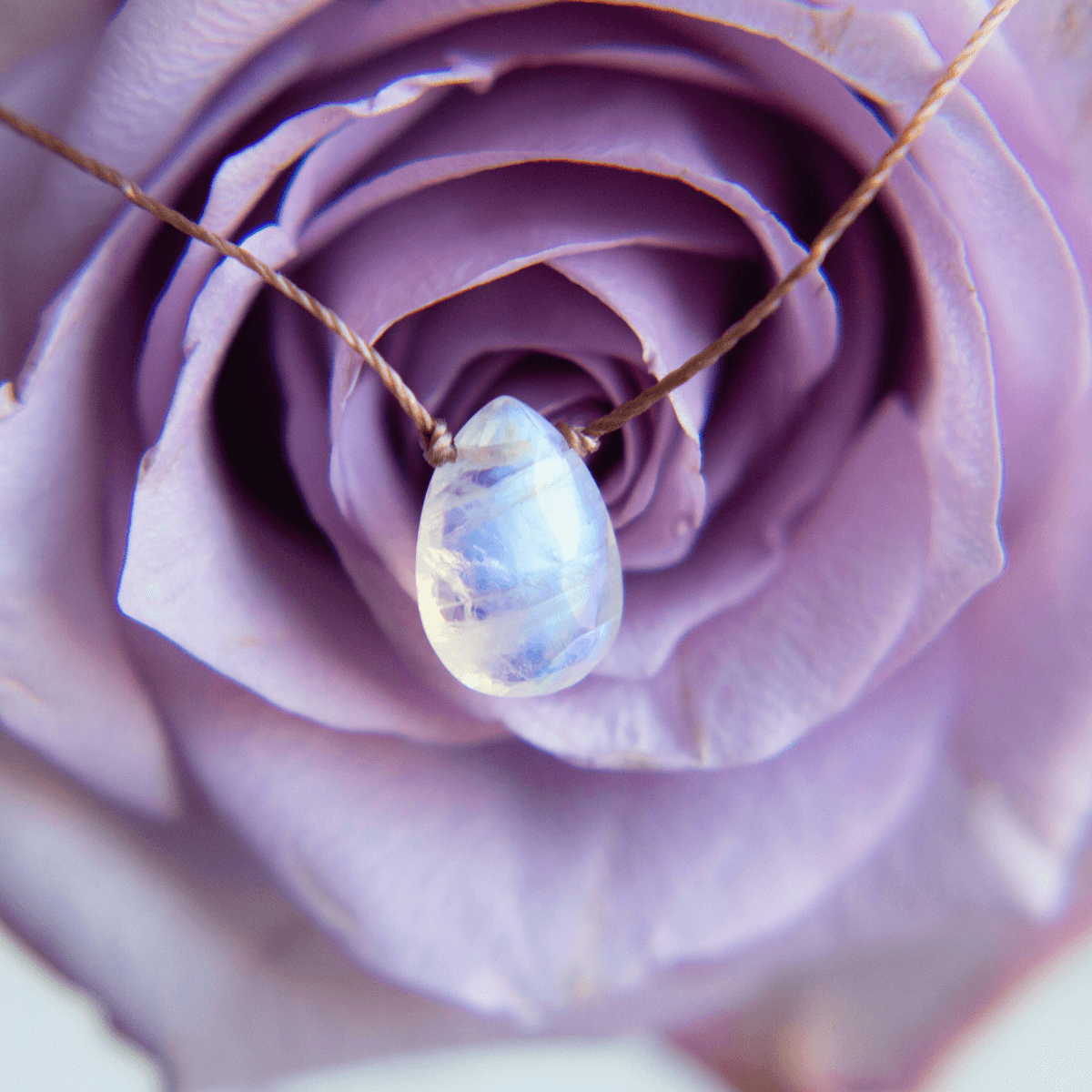 Moonstone Alive & Well Necklace for Sisterhood