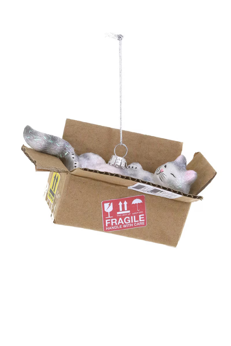 Best Cat Toy- Cat in Box Ornament