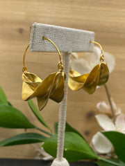 Folded Gold Earrings