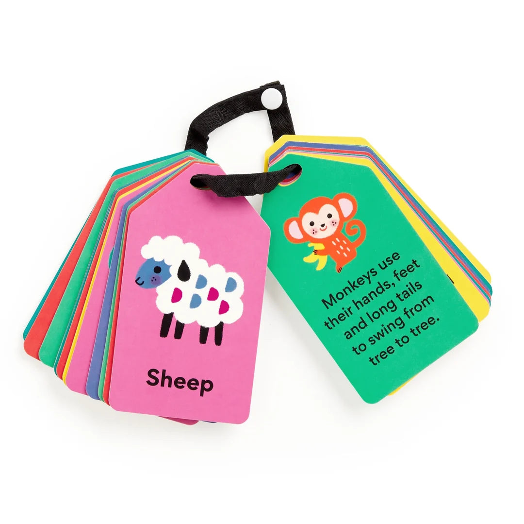 My First Animals Ring Flash Cards