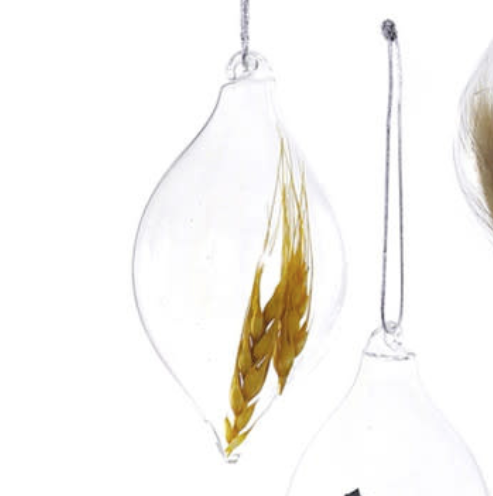 Captured Botanical Ornament