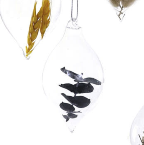 Captured Botanical Ornament