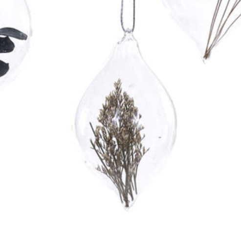 Captured Botanical Ornament