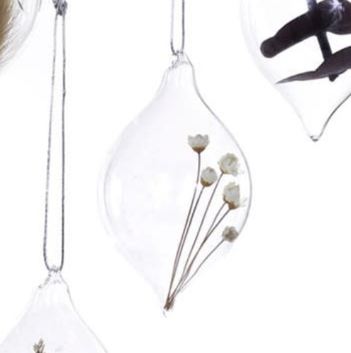 Captured Botanical Ornament