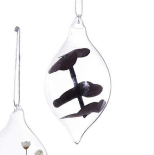 Captured Botanical Ornament