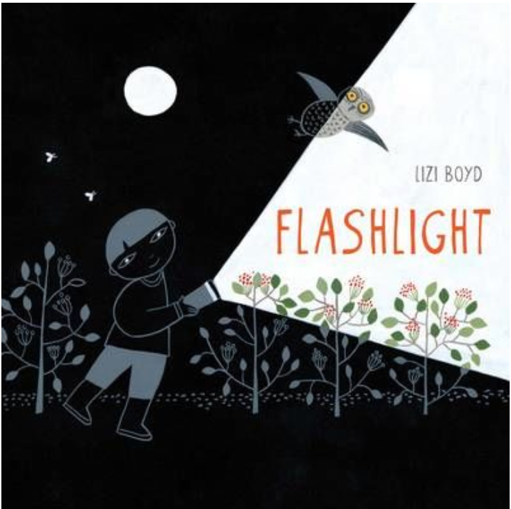 Flashlight Hardback