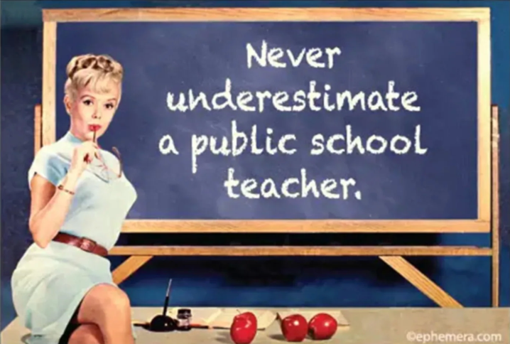 Never Underestimate A Public School Teacher Magnet