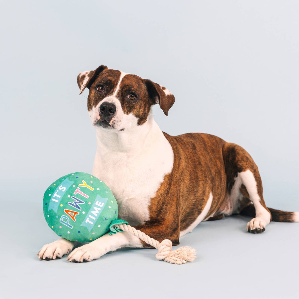 I PAWTY, YOU PAWTY PLUSH DOG TOY