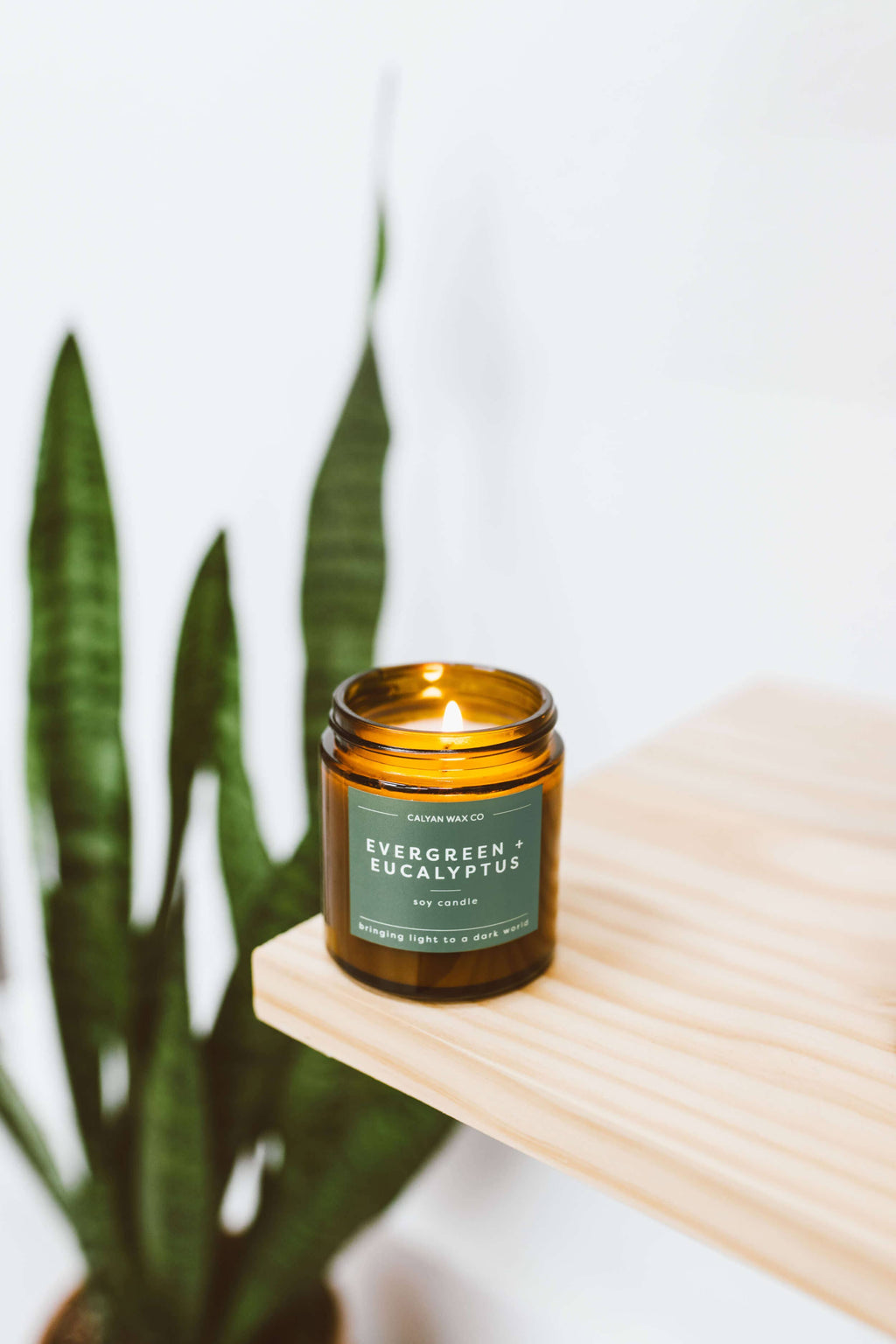Soy Candle | Evergreen + Eucalyptus | 3.1oz Mini Amber Jar