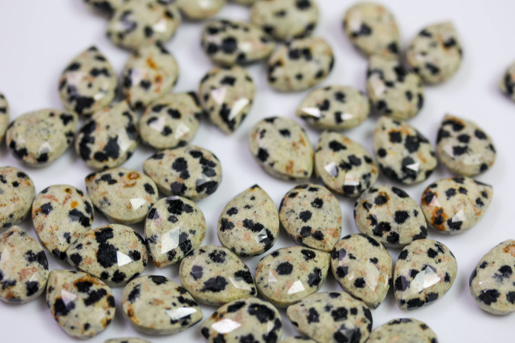 Dalmatian Jasper Soul-Full of Light Necklace for Glee SFOL34