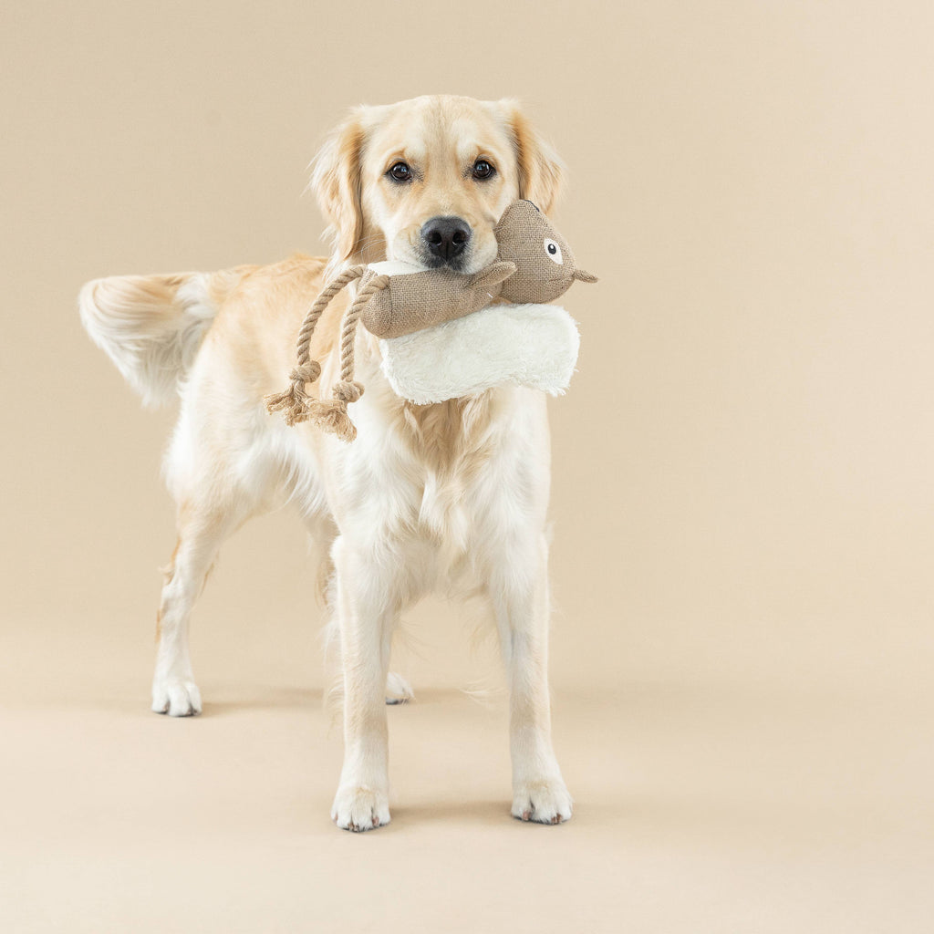 EARTH FRIENDLY DOG TOY BRING MORE NUTS!