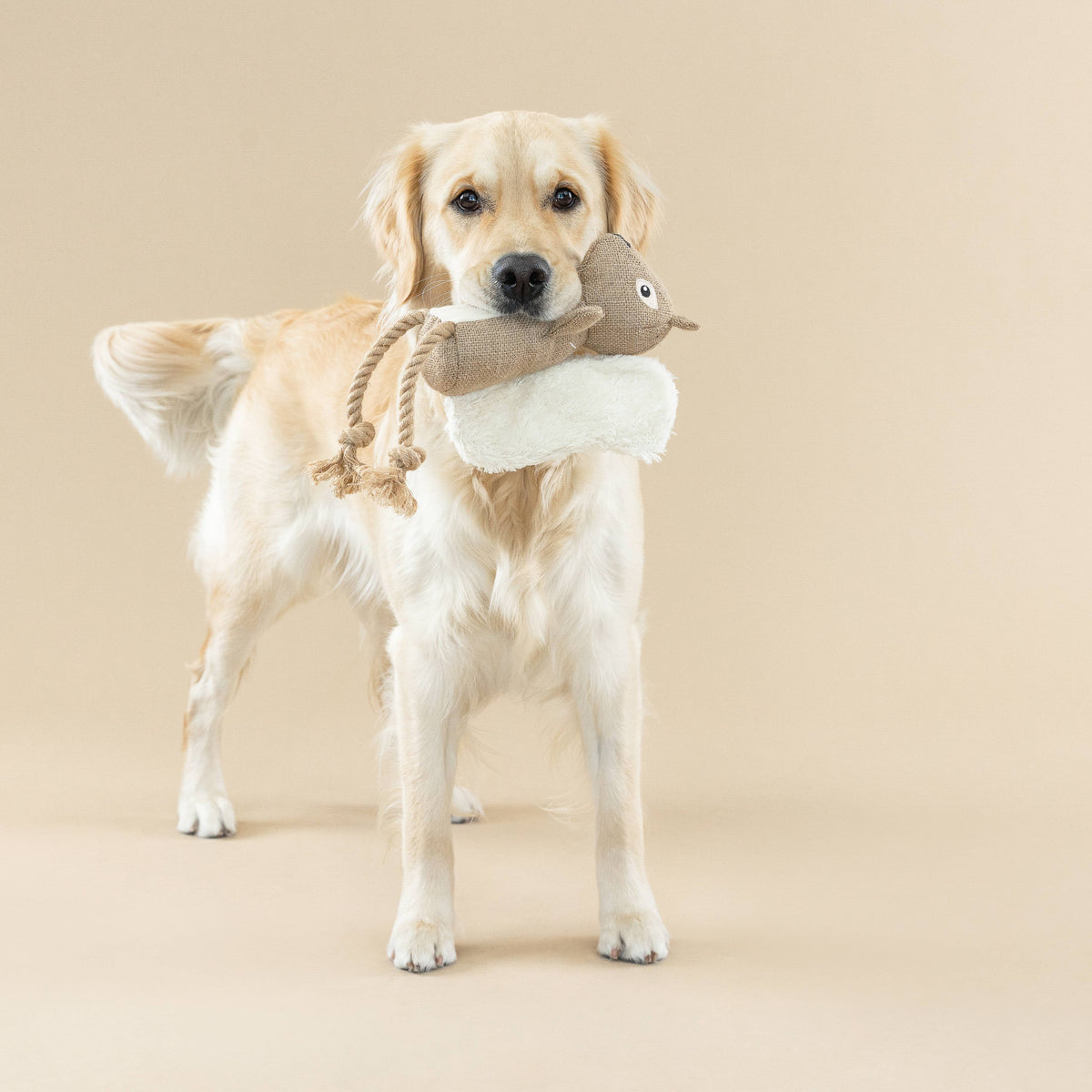 EARTH FRIENDLY DOG TOY BRING MORE NUTS!
