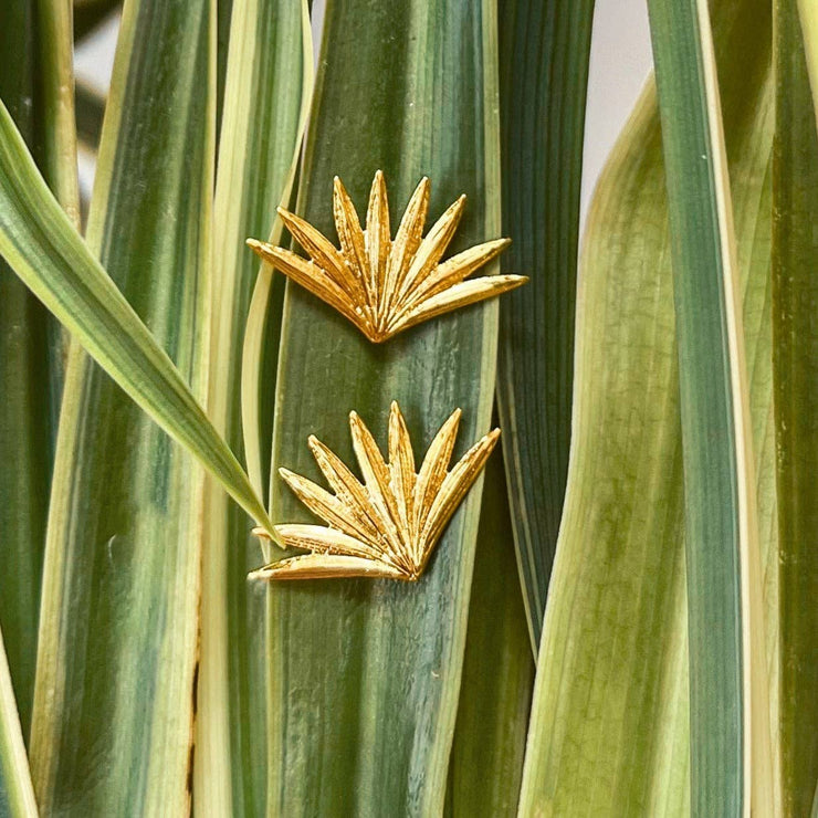 Fan Palm Studs