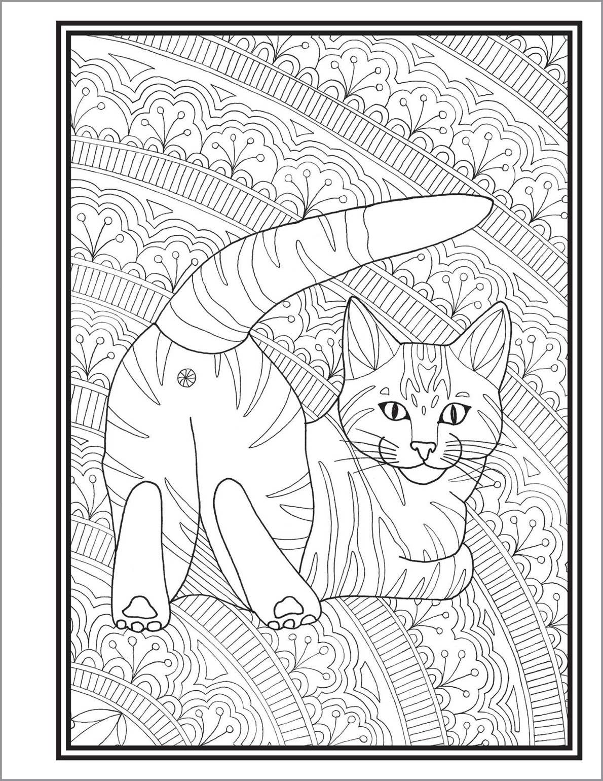 Butts, Bleps, and Beans Cat Coloring Book