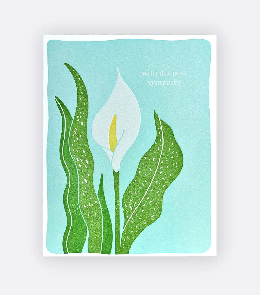 Calla Lily Sympathy