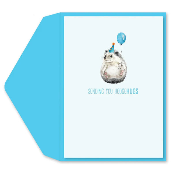Hedgehog Greeting Card