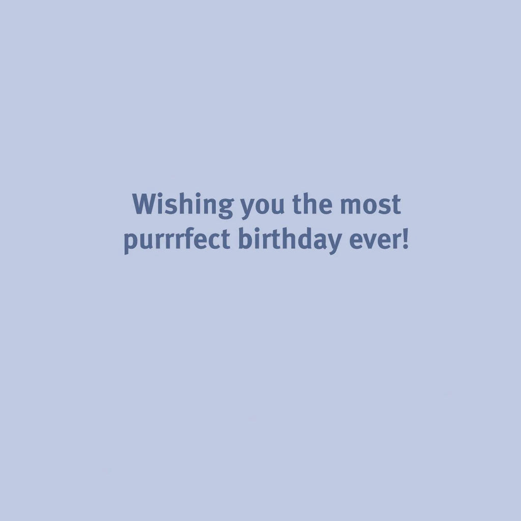 Birthday Party Cats Greeting Card