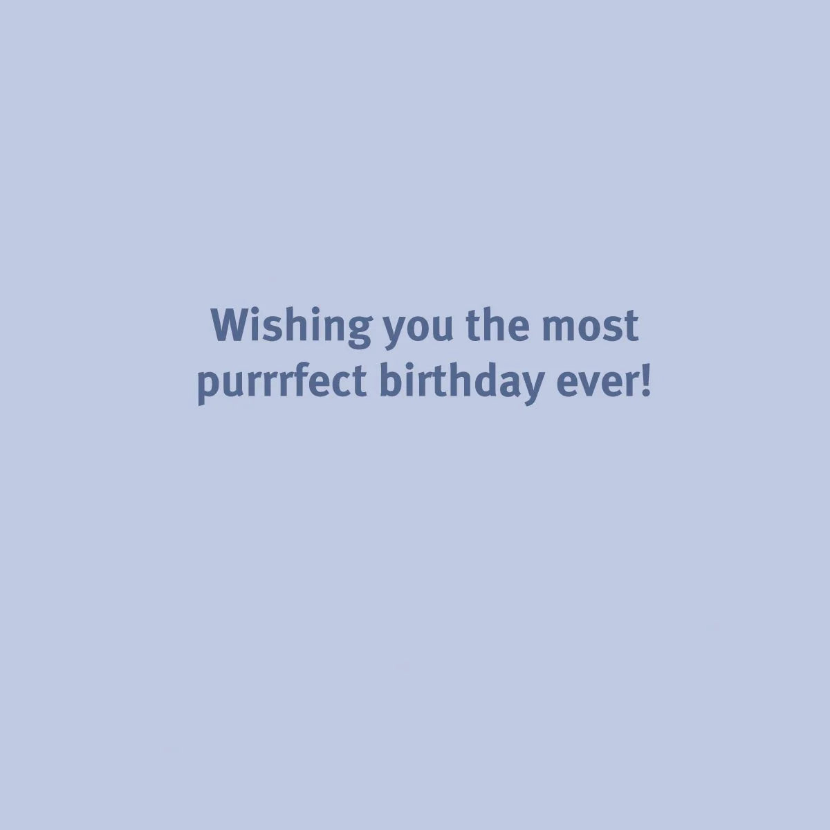 Birthday Party Cats Greeting Card