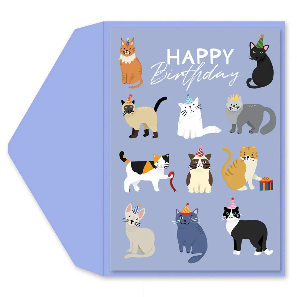 Birthday Party Cats Greeting Card
