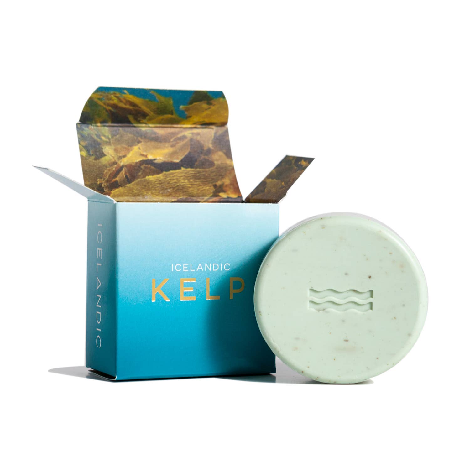 Icelandic Kelp Soap - Halló Sapa
