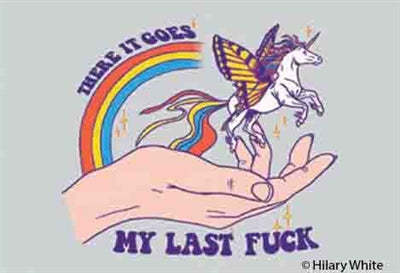 THERE IT GOES, MY LAST FUCK - NOVELTY MAGNET - One Strange Bird