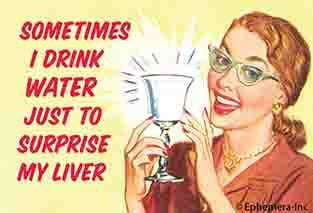 SOMETIMES I DRINK WATER JUST TO SURPRISE MY LIVER - NOVELTY MAGNET - One Strange Bird