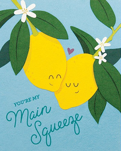 Main Squeeze - One Strange Bird