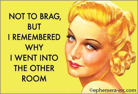 Not to brag, but I remember why I went into the other room - One Strange Bird
